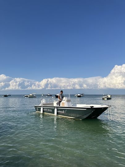 Bienvenue à la marque Seaweed  1